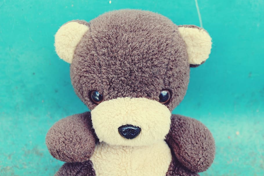 Teddy Bear, Soft Toy, Cute, toys, bears, stuffed animal, fur HD wallpaper