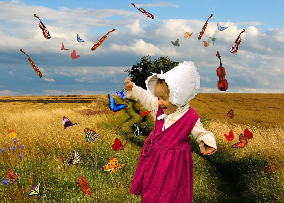 dynamic, digi-art, composing, girl, violin, butterfly, butterflies HD wallpaper
