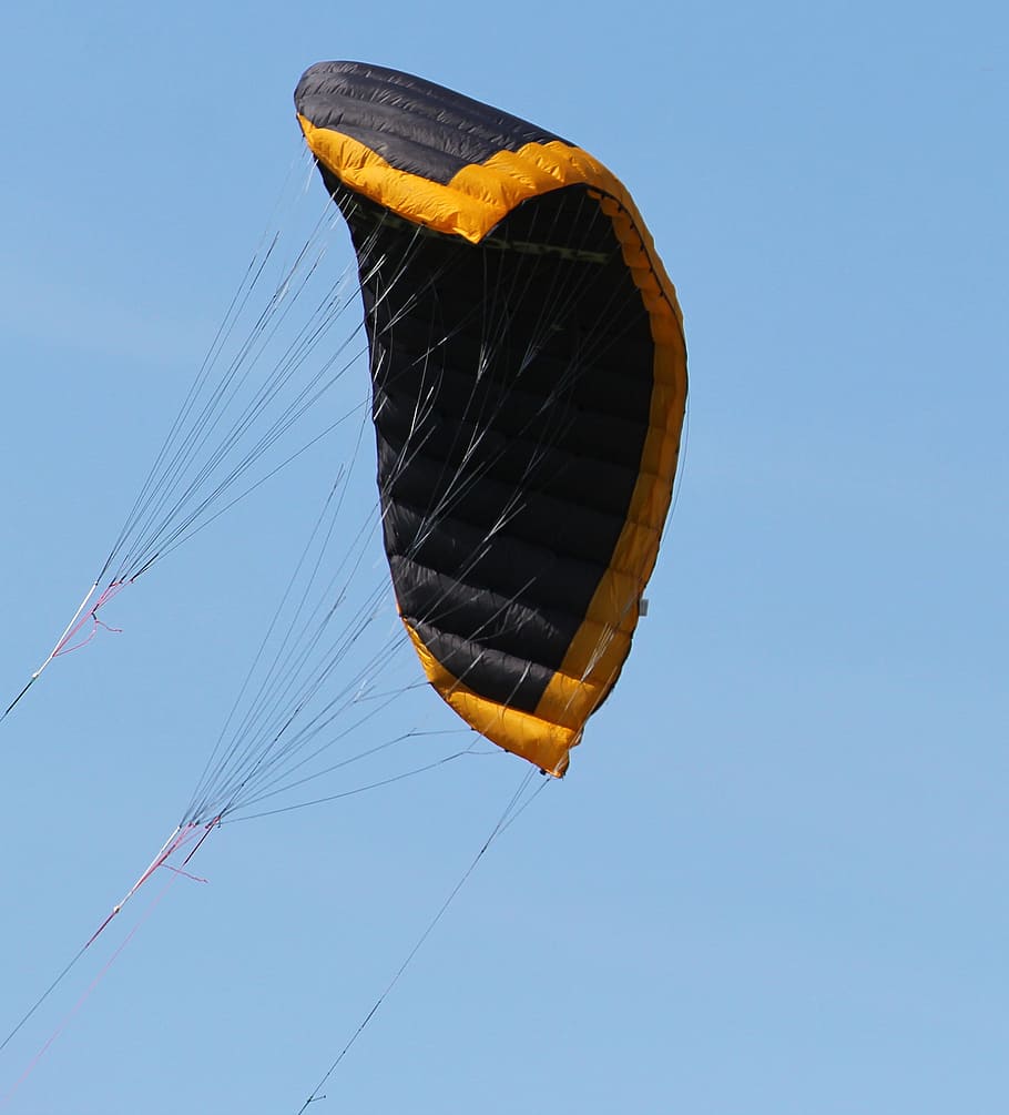 Kite, Dragon, Fly, Windscreen, steering kite sailing, flying HD wallpaper