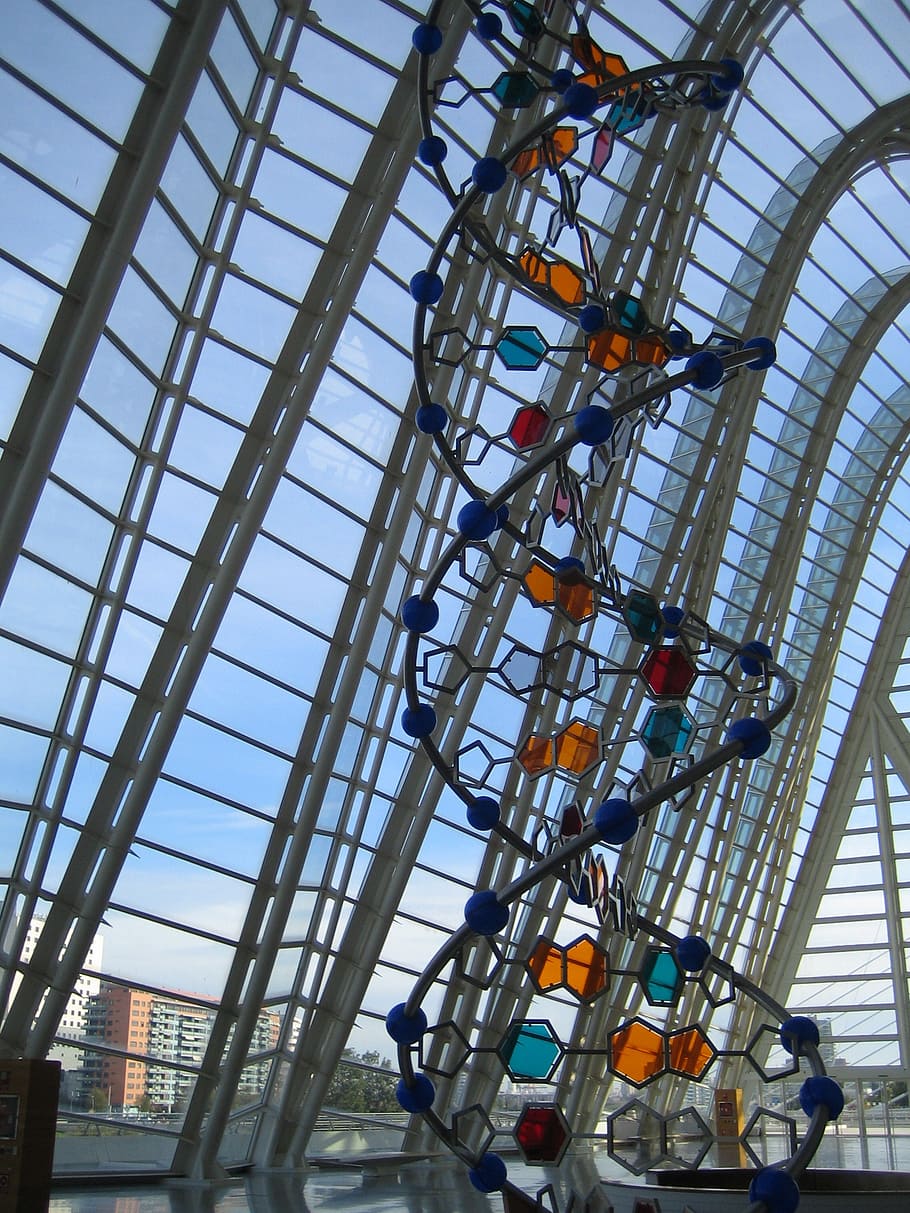DNA structure statue inside glass building, low angle view HD wallpaper