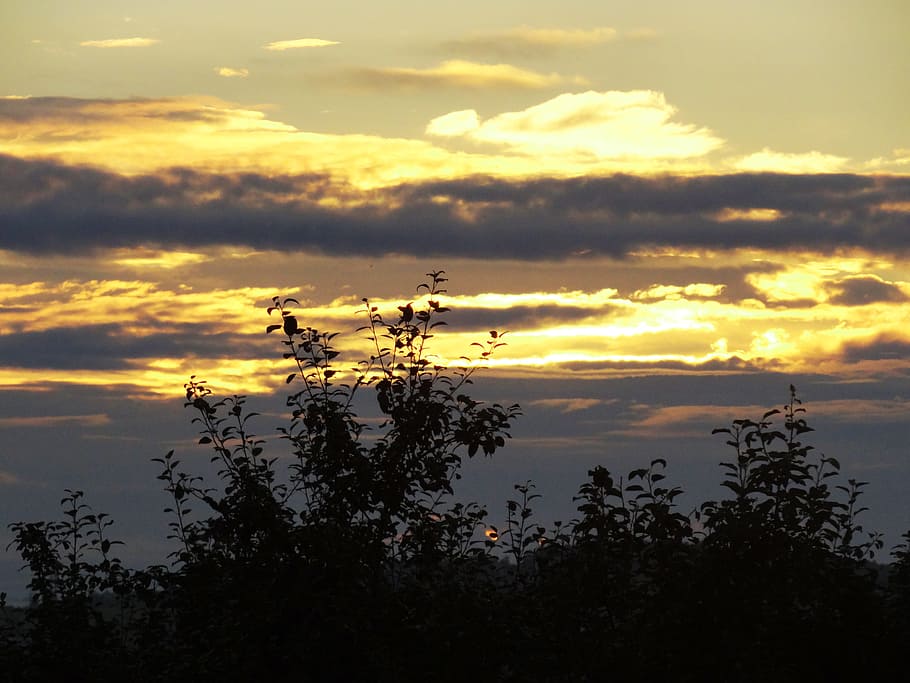 nature, sky, clouds, evening sky, sunset, landscape, cloud - sky HD wallpaper
