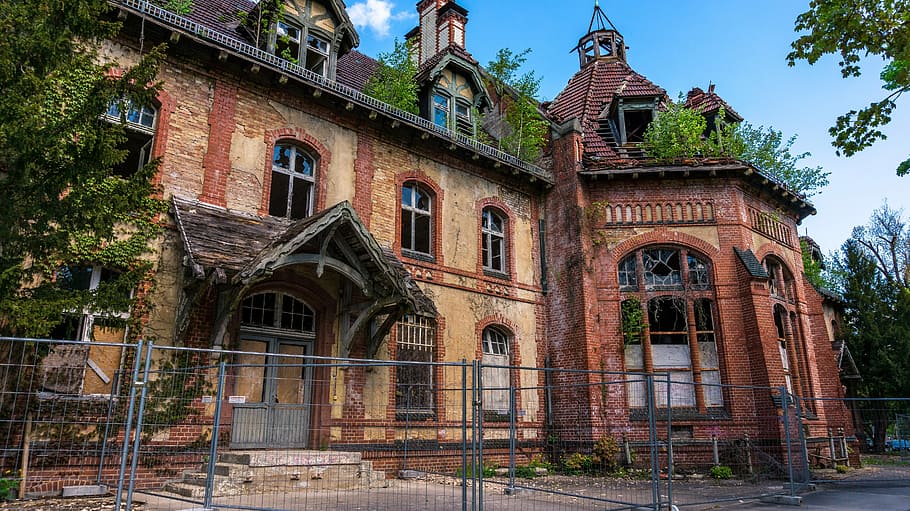 architecture, building, home, facade, window, leave, break up HD wallpaper