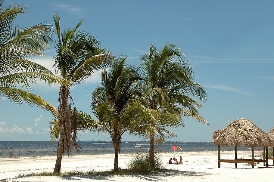 fort myers beach, florida, travel, tourism, people, coast, sky, HD wallpaper