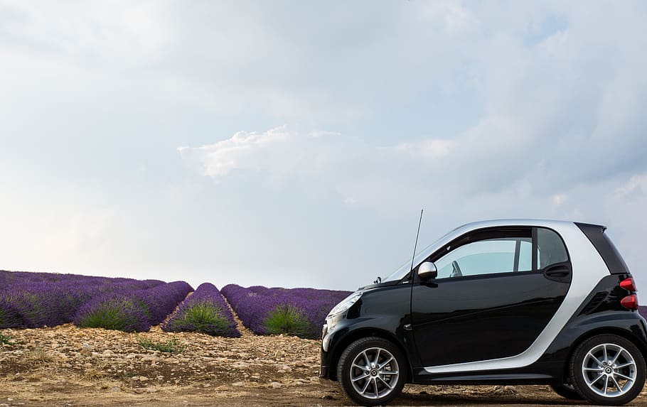 black and silver Smart Fortwo 3-door hatchback, lavender, lavender field HD wallpaper