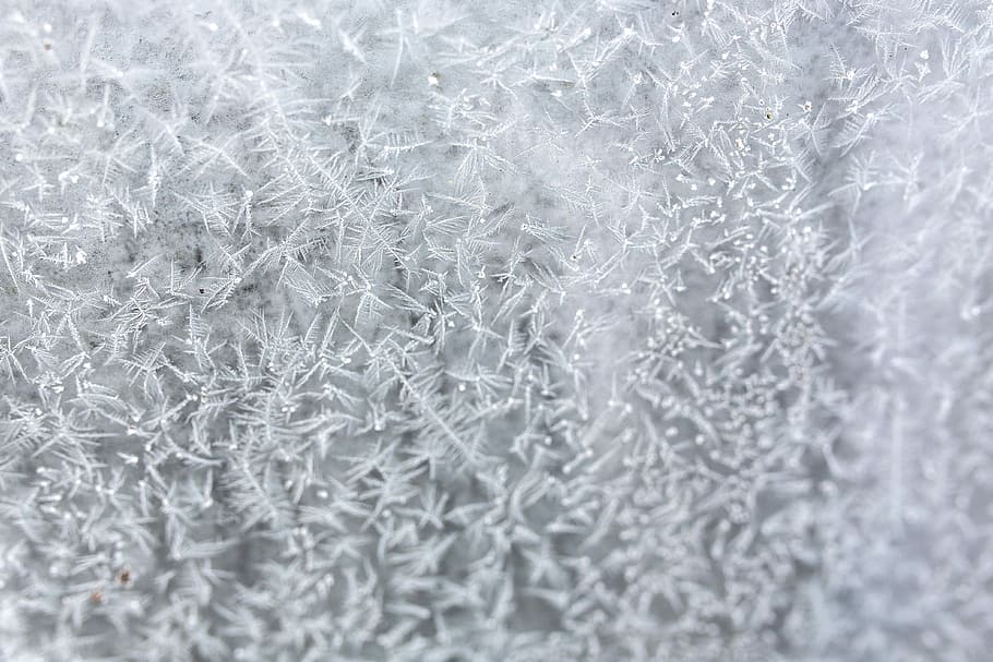 Frosty background, winter, cold, ice, backgrounds, pattern, abstract HD wallpaper