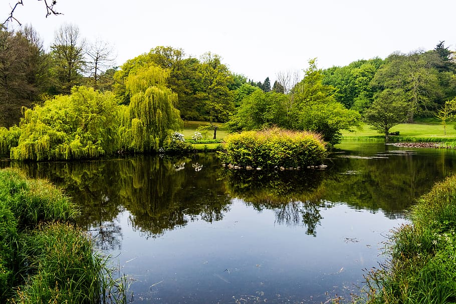 Lake, Still, Water, Reflection, landscape, nature, peaceful HD wallpaper