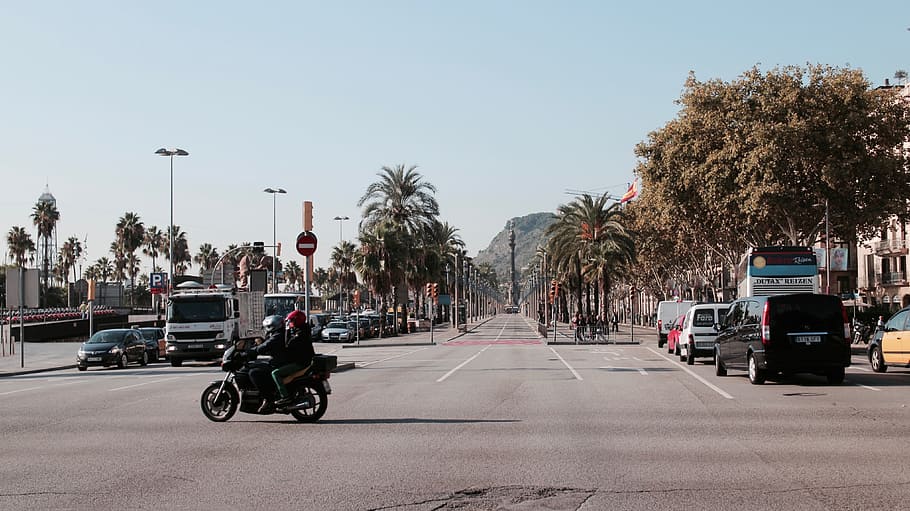 tree, plant, city, motorcycle, car, vehicle, transportation HD wallpaper