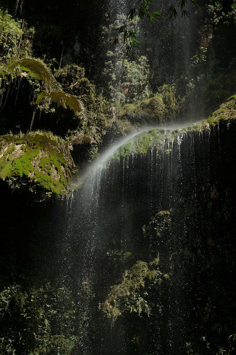water, moss, waterfall, nature, lichen, flow, mystical, splash HD wallpaper