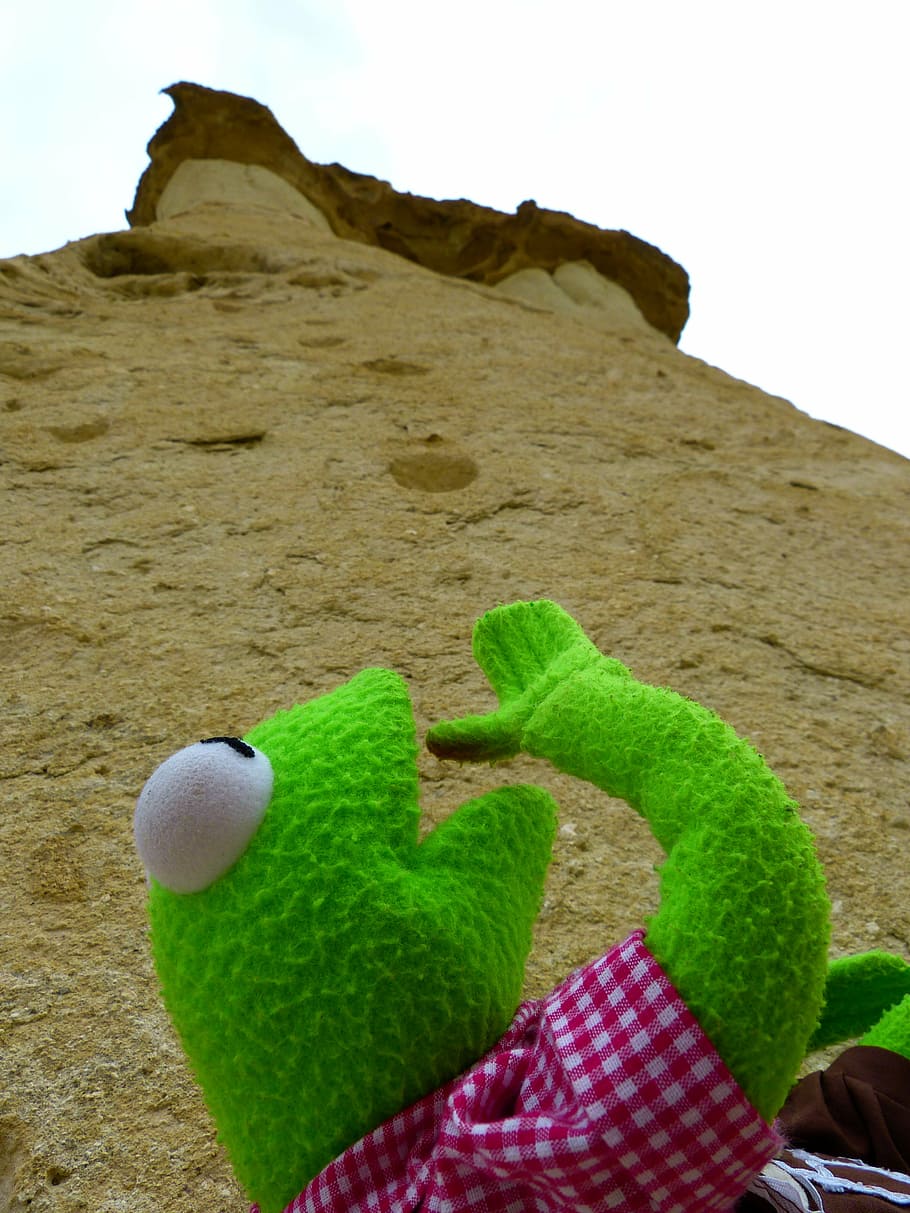 kermit, frog, green, doll, call, look, top, sand, green color HD wallpaper