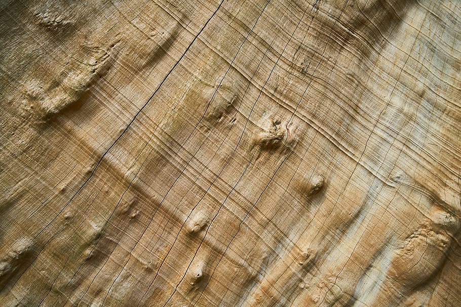 beige wood surface, Tree, Nature, Wood-Fibre, Boards, wood-fibre boards, HD wallpaper