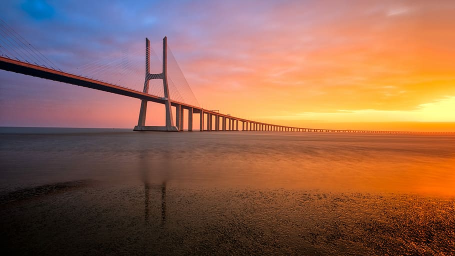 bridge scenery during sunset, wide angle photo of suspension bridge during sunset HD wallpaper