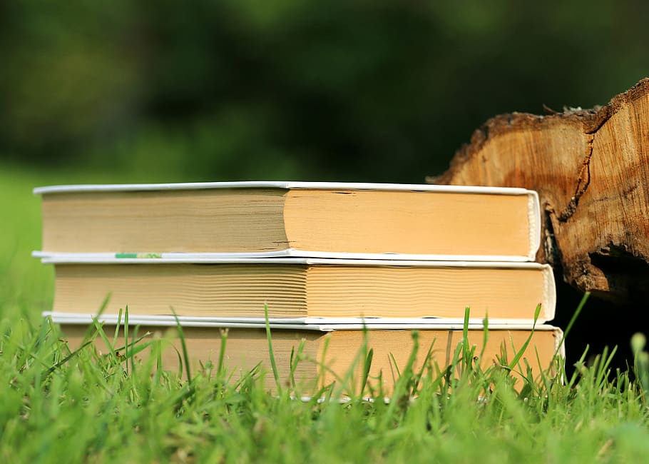 three white books and brown wood log on green grass, reading HD wallpaper