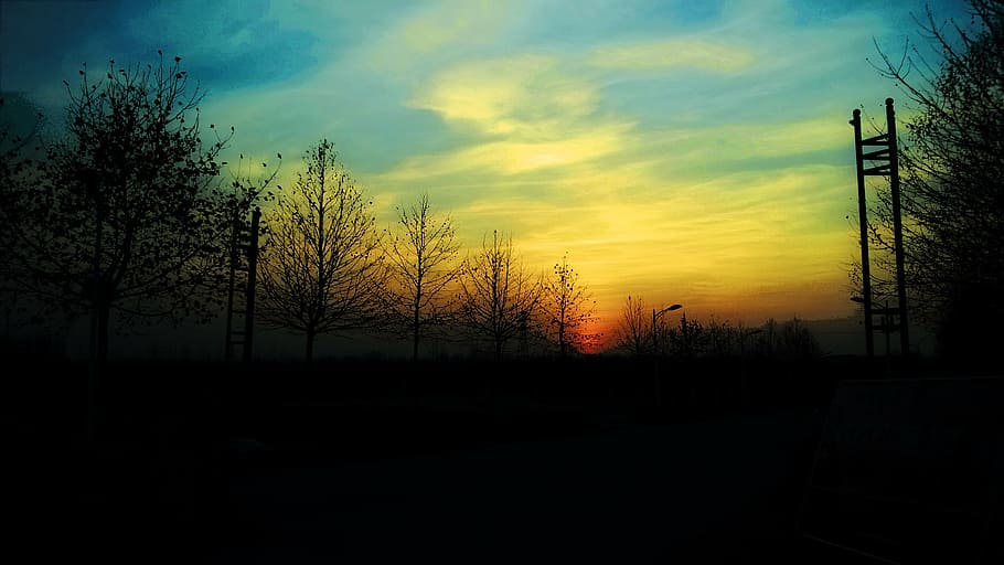 twilight, sunset, the scenery, sky, silhouette, tree, plant HD wallpaper