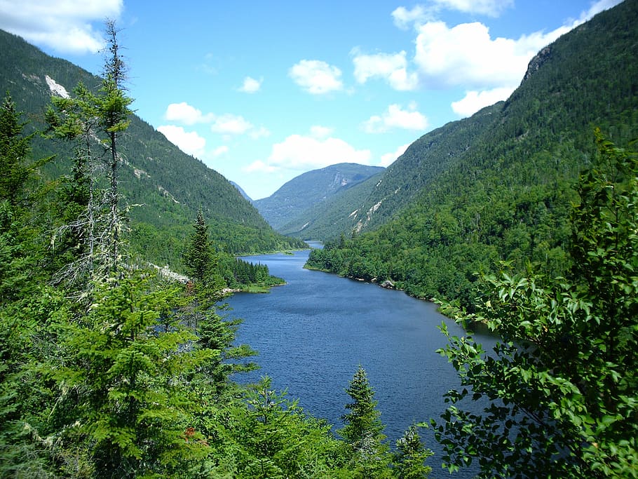 River, Water, Forest, Nature, Green, trees, summer, sky, clouds HD wallpaper