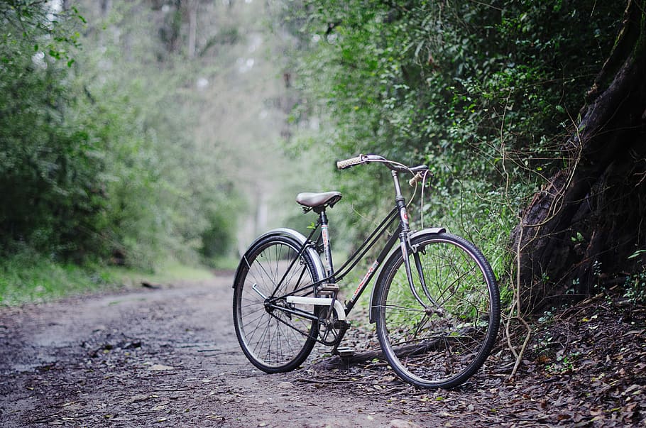 black cruiser bike on gray pathway, grey commuter's bicycle parked beside the tree HD wallpaper