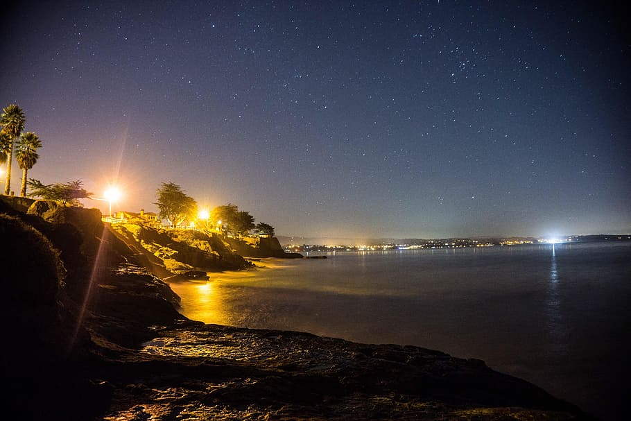 dark, night, sky, stars, coast, nature, trees, beach, sea, water HD wallpaper