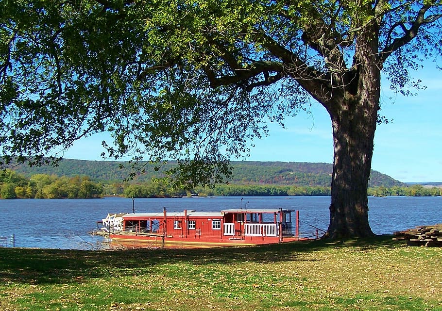 Ferry Boat, River, Landscape, tourism, scenic, summer, tree HD wallpaper