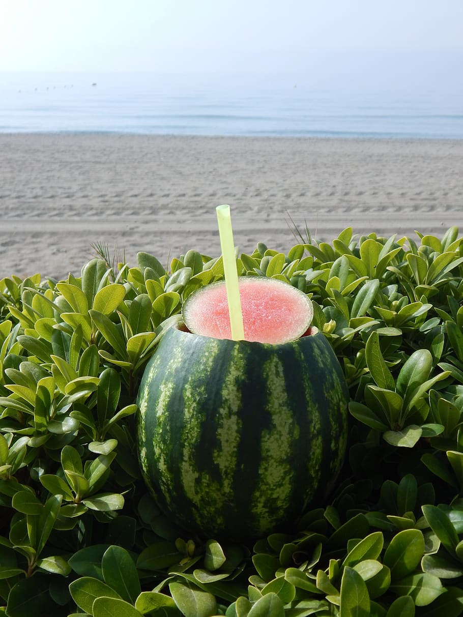 watermelon, beach, summer, sand, fruit, summertime, cute, travel HD wallpaper