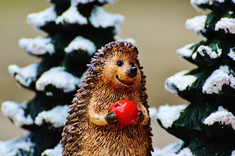 winter, hedgehog, apple, cute, sweet, figure, wintry, deco HD wallpaper
