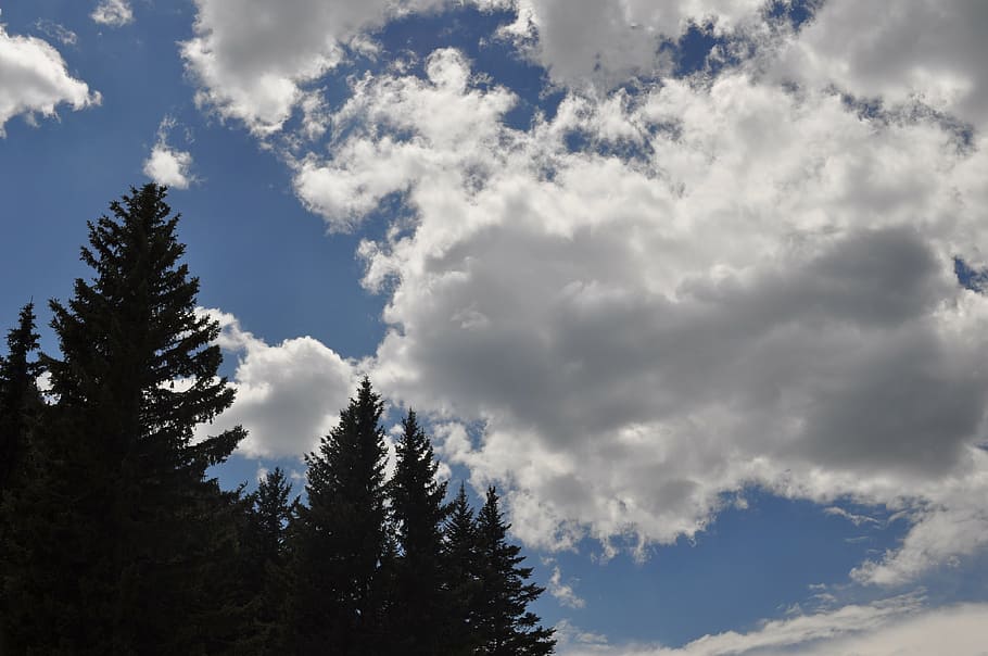 clouds, trees, nature, sky, blue, travel, landscape, cloud - sky HD wallpaper