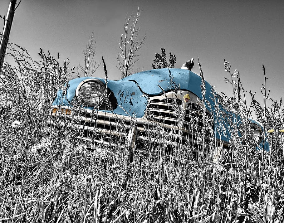selective color photography of classic blue car, oldtimer, vintage HD wallpaper