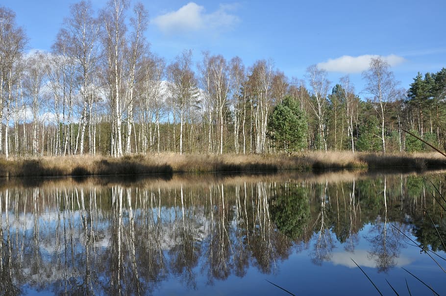 nature, water, landscape, reflection, lake, tranquility, tree HD wallpaper