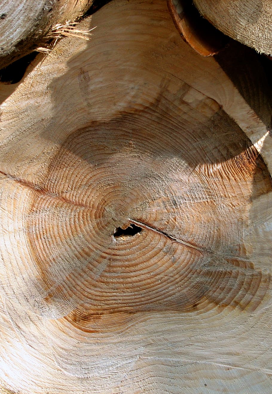 log, wood, timber, lumber, tree, wooden, industry, texture HD wallpaper