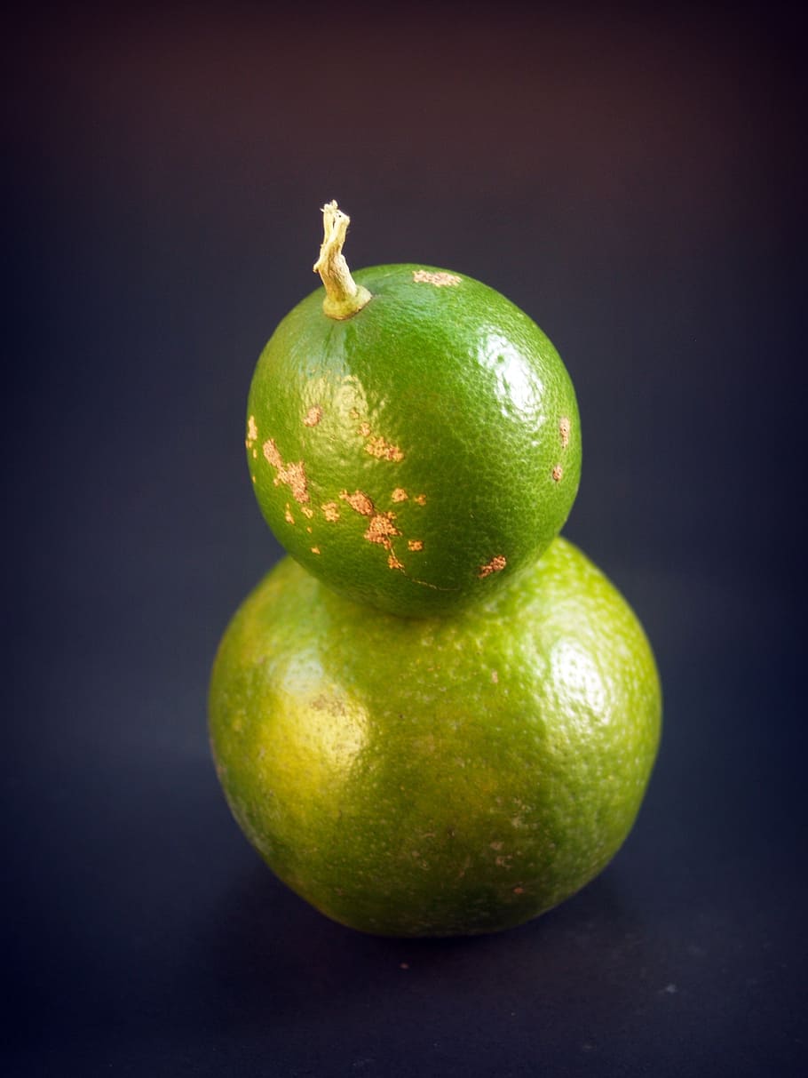 lime, lemon, slice, green, whole, white, leaf, citrus, fruit HD wallpaper