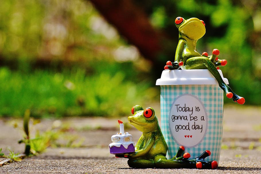 green frog figurines, beautiful day, birthday, joy, coffee, cup