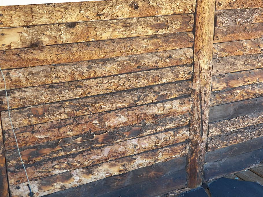 Wood, Texture, Background, wood background, no people, day HD wallpaper