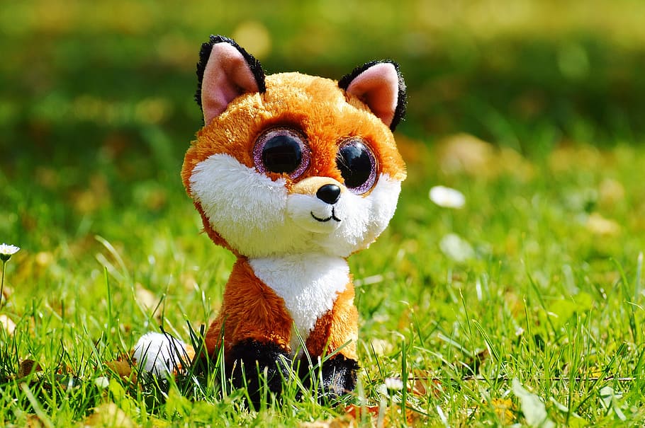 Fuchs, Animal, Nature, Cute, Sweet, glitter eyes, stuffed animal HD wallpaper