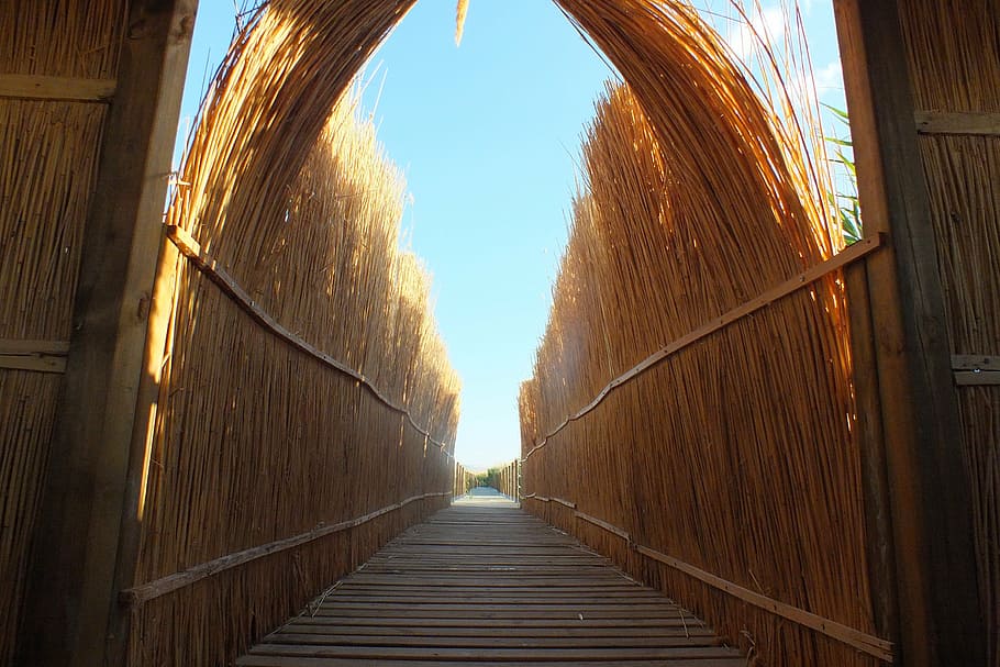 wire mesh, reed, road, the gate, the way forward, direction HD wallpaper