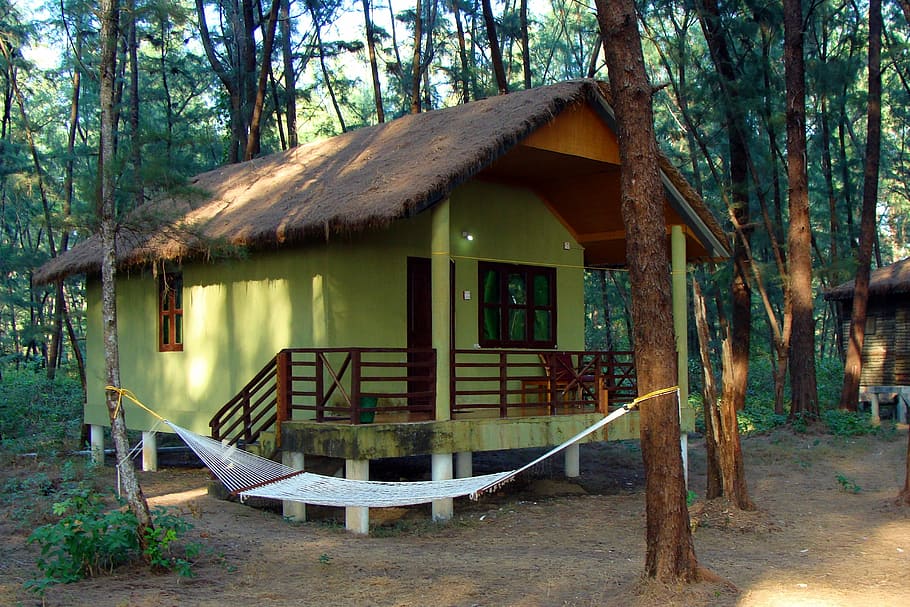 log, hut, wood cabin, slanted roof, forest, casuarina, india, HD wallpaper