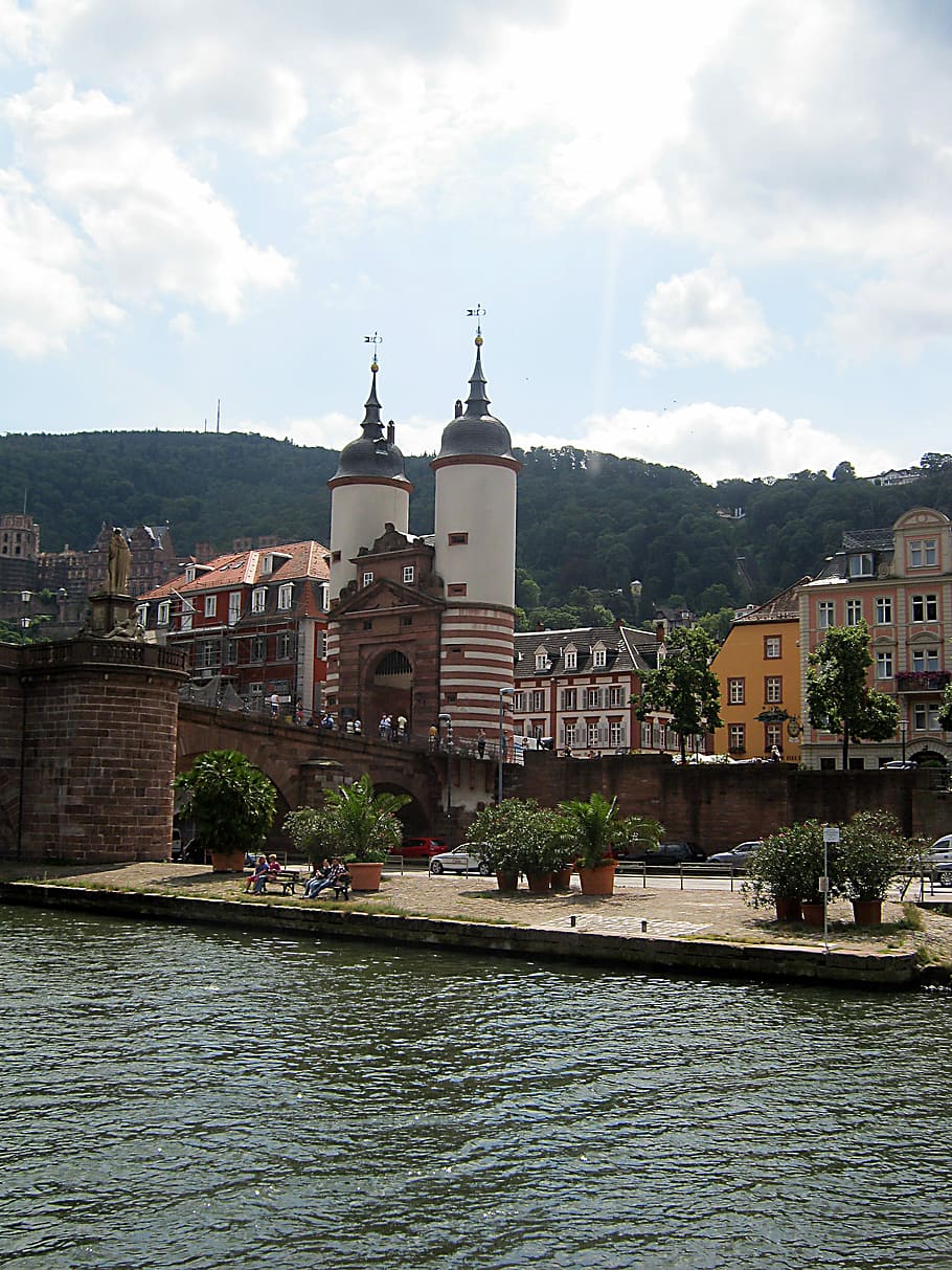 Neckar, Heidelberg, River, Current, shipping, summer, bank, HD wallpaper
