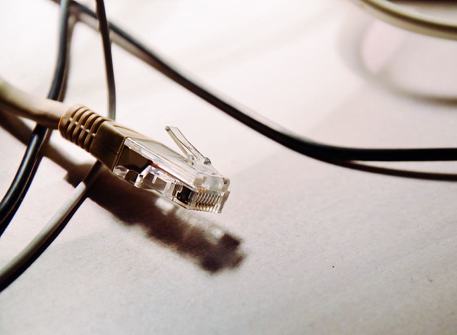 ethernet, cables, technology, internet, connection, computer cable HD wallpaper
