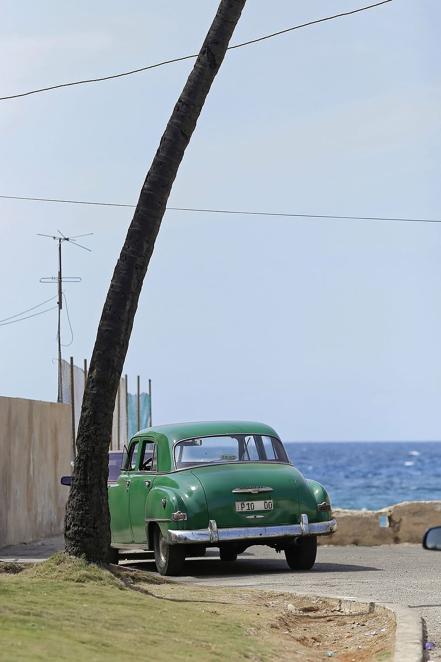 cuba, havana, oldtimer, palm, coast, miramar, green, mode of transportation HD wallpaper