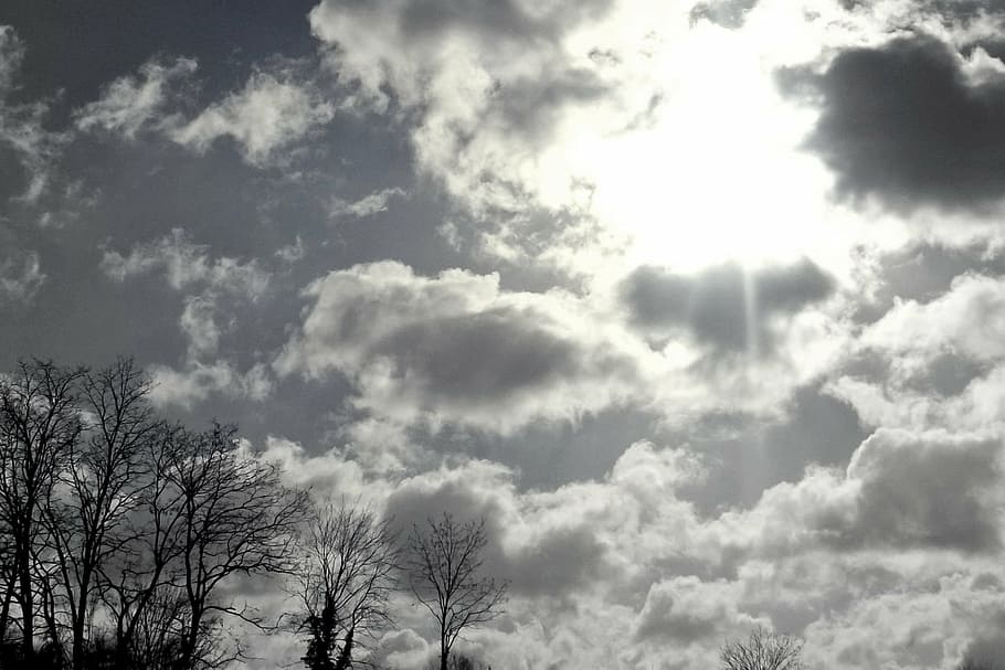 clouds, sun, sky, trees, nature, landscape, harmony, cloud - sky HD wallpaper