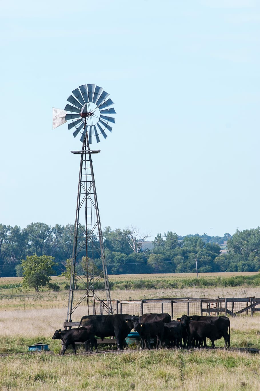 Windmill, Cows, Prairie, Water, Thirsty, drink, farm, cattle HD wallpaper