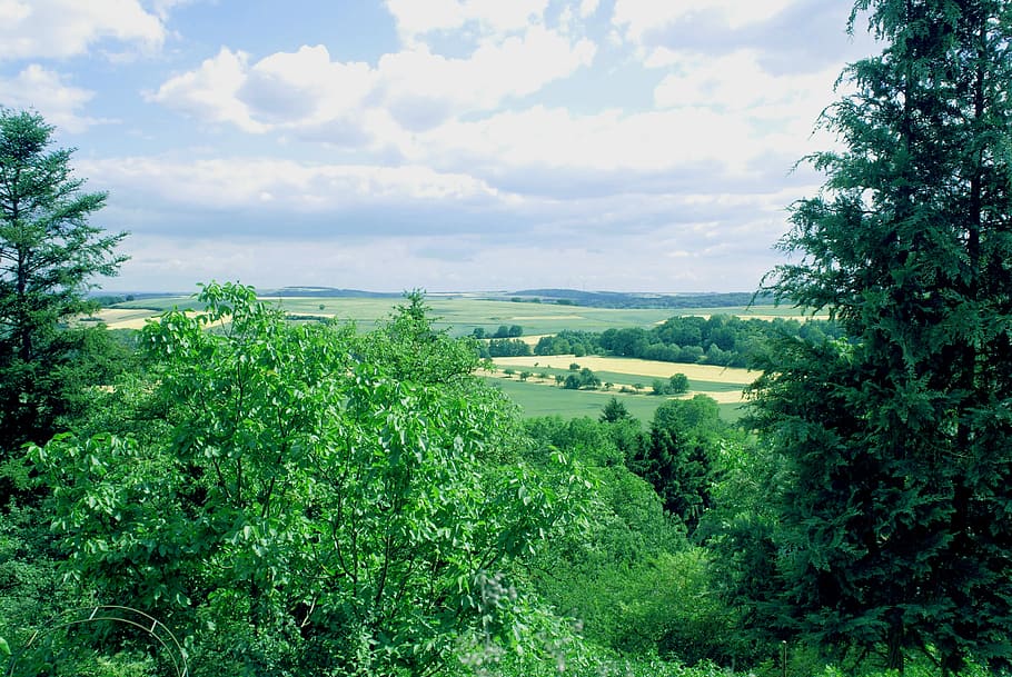 Landscape, Eifel, Nature, Trees, green, sky, maare, mood, hiking HD wallpaper