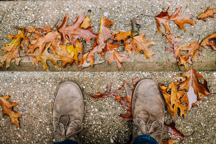 orange leaves on floor, person standing on brown surface, feet HD wallpaper