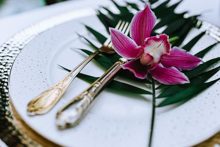 Colorful Exotic Flowers and Greenery, flora, leaf, leaves, tropical HD wallpaper