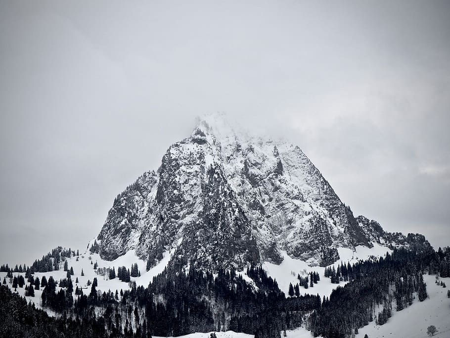mountain covered by snow at daytime, grayscale of alps, trees HD wallpaper