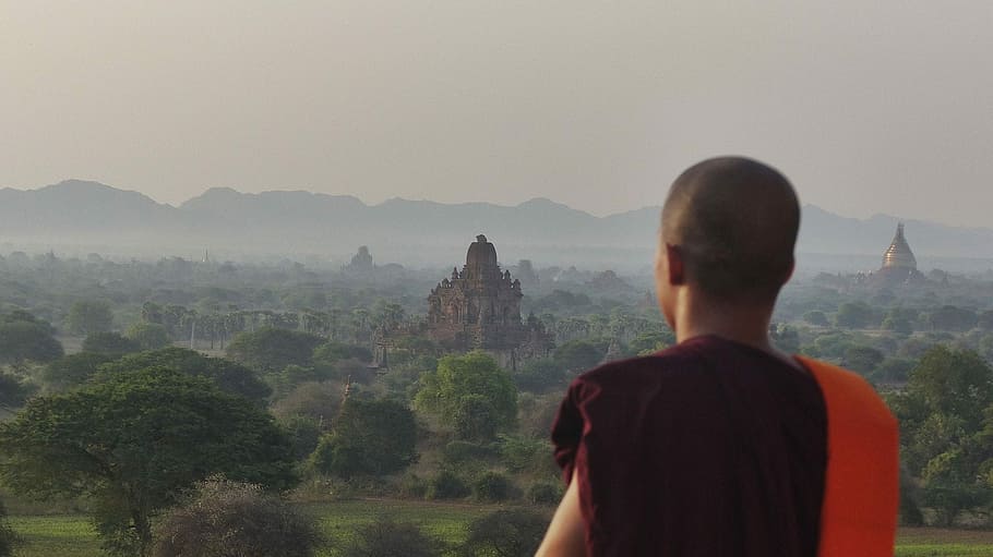 man standing beside trees, Buddha, Bagan, Temple, outdoors HD wallpaper