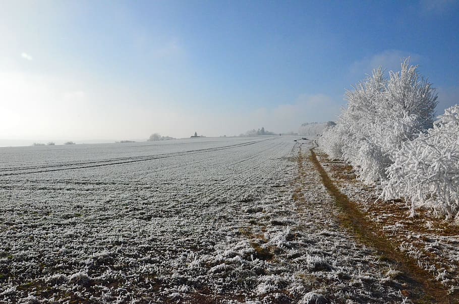 Snow, Sun, Winter, Nature, Mountains, afternoon sun, sky, frost HD wallpaper