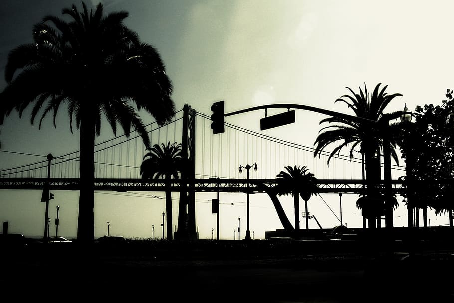 Bridge, Silhouette, Palms, Evening, architecture, landmark HD wallpaper