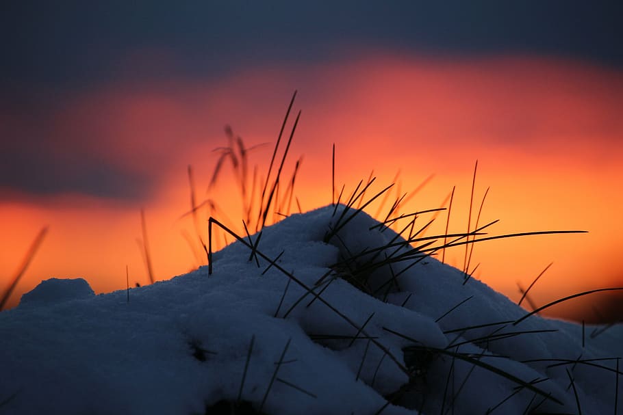 winter, afterglow, sunset, snow, abendstimmung, wintry, nature HD wallpaper