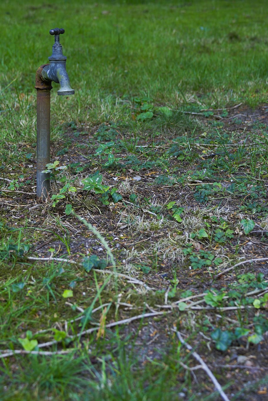 faucet, grass, water, drought, green, lonely, pointless, drinking HD wallpaper