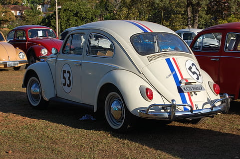 fusca, herbi, car, old car, old cars, vw, motoring, rear drive HD wallpaper