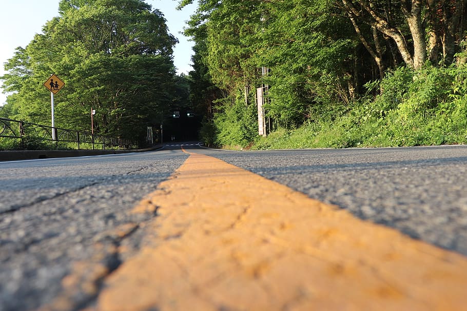 highway, horizon, trees, plant, road, the way forward, transportation HD wallpaper