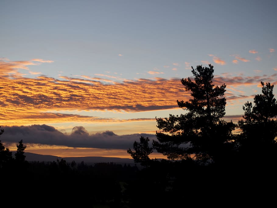 Tree, Cloud, Sky, Landscape, Clouds, Sun, sunset, silhouette HD wallpaper